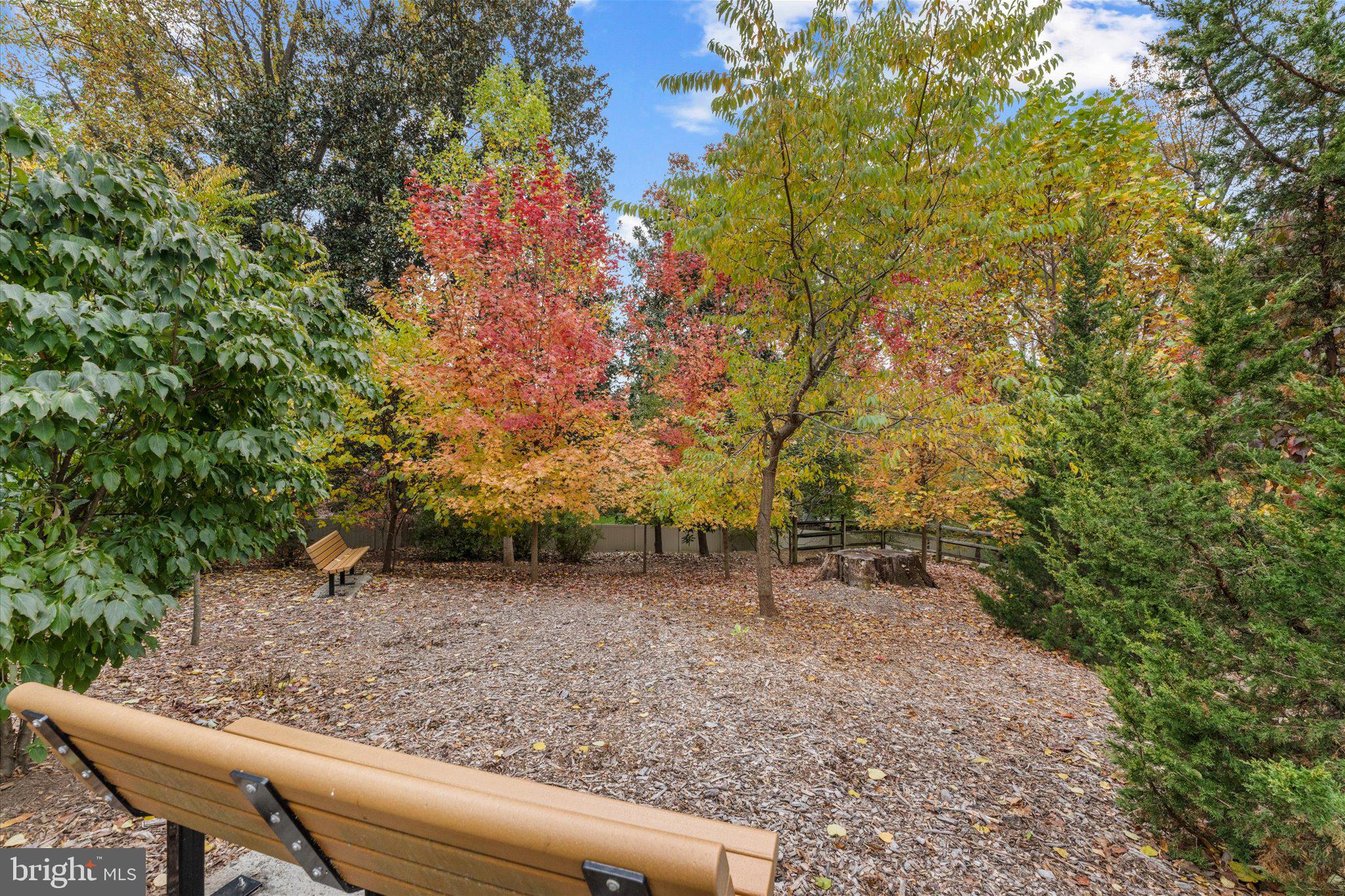 6201 CHAMPION OAK COURT