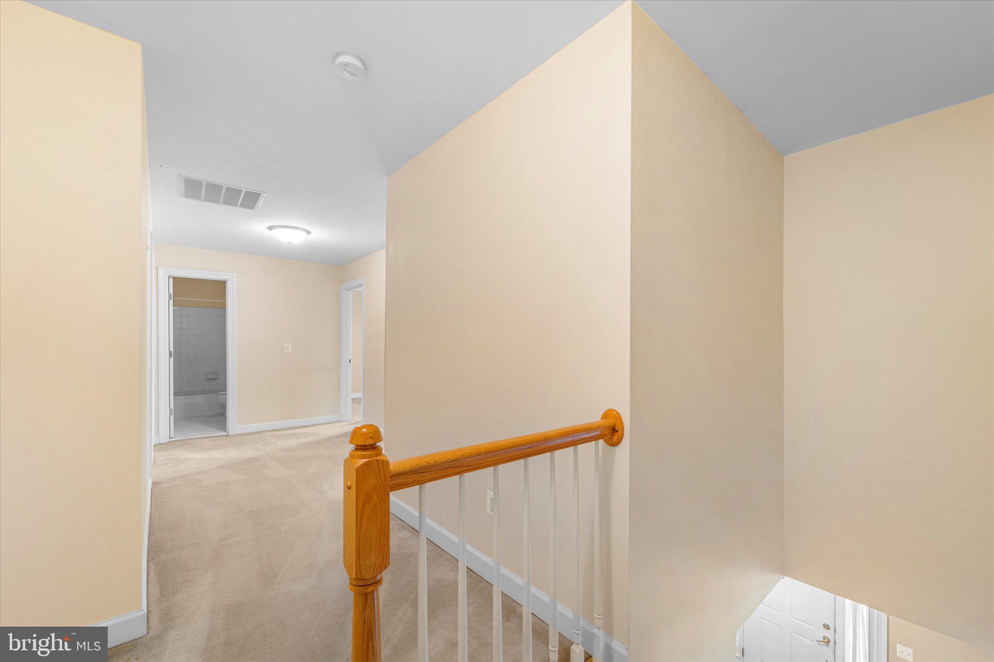 19028 SNOWBERRY COURT