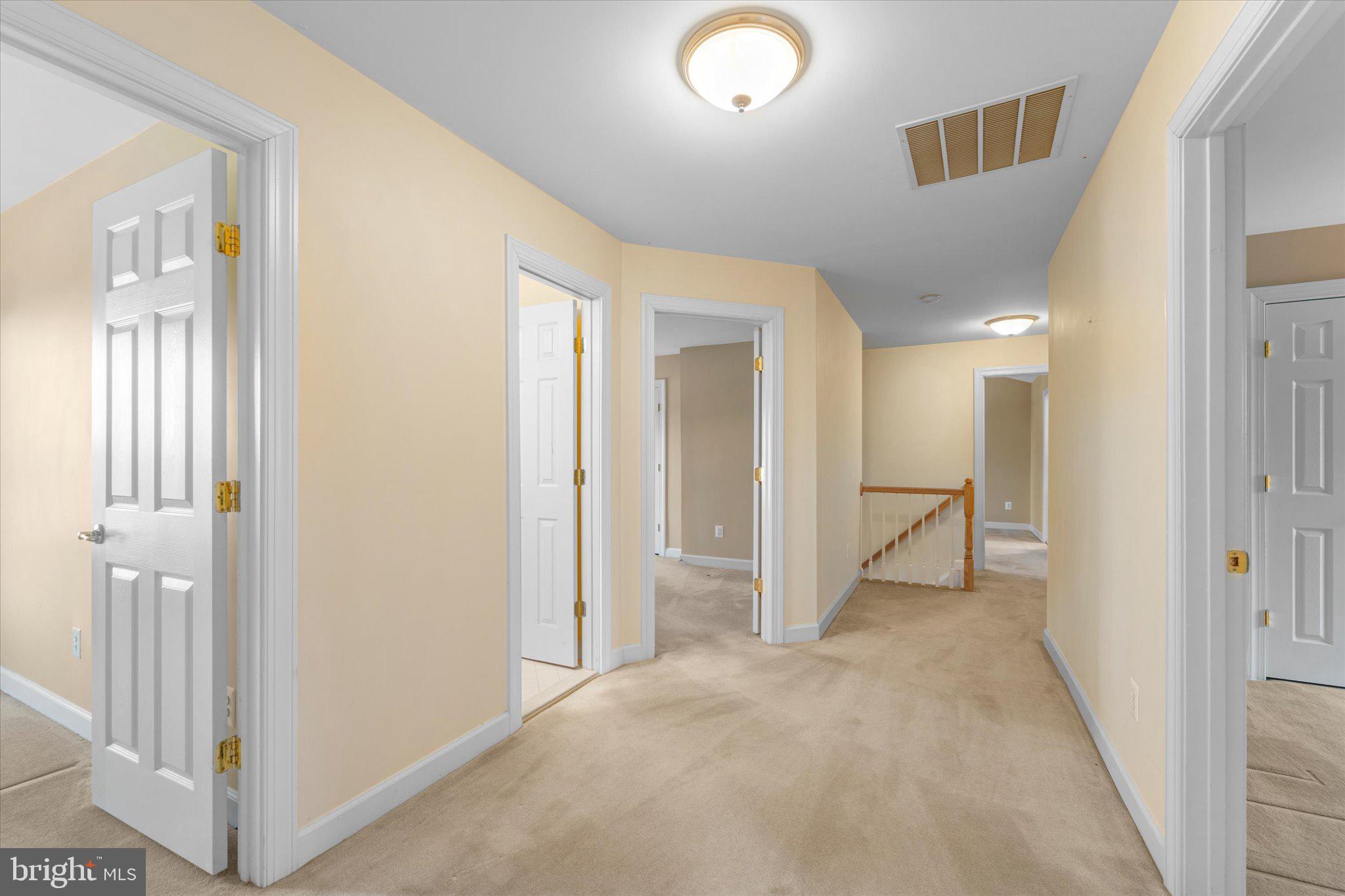 19028 SNOWBERRY COURT