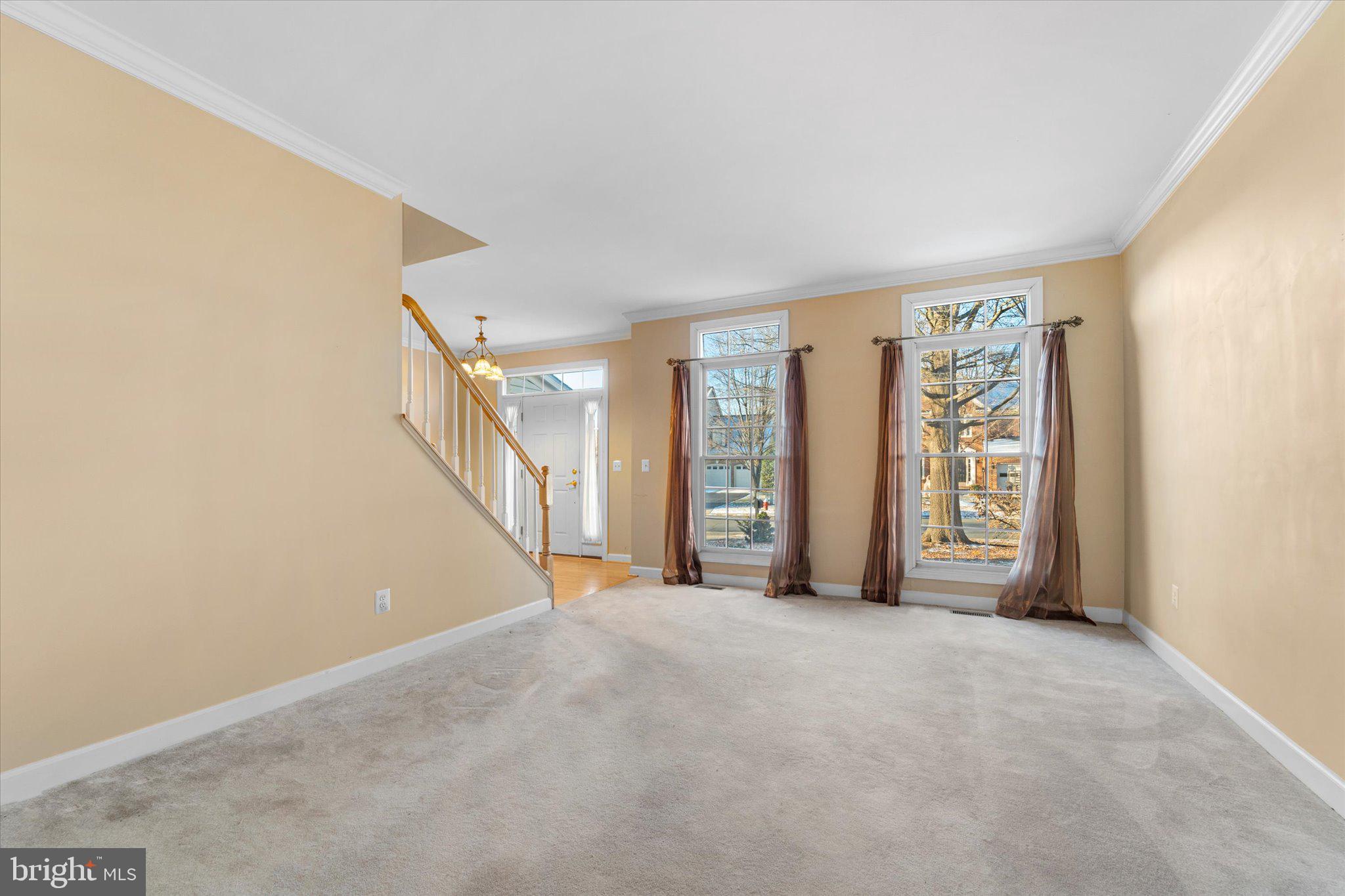 19028 SNOWBERRY COURT