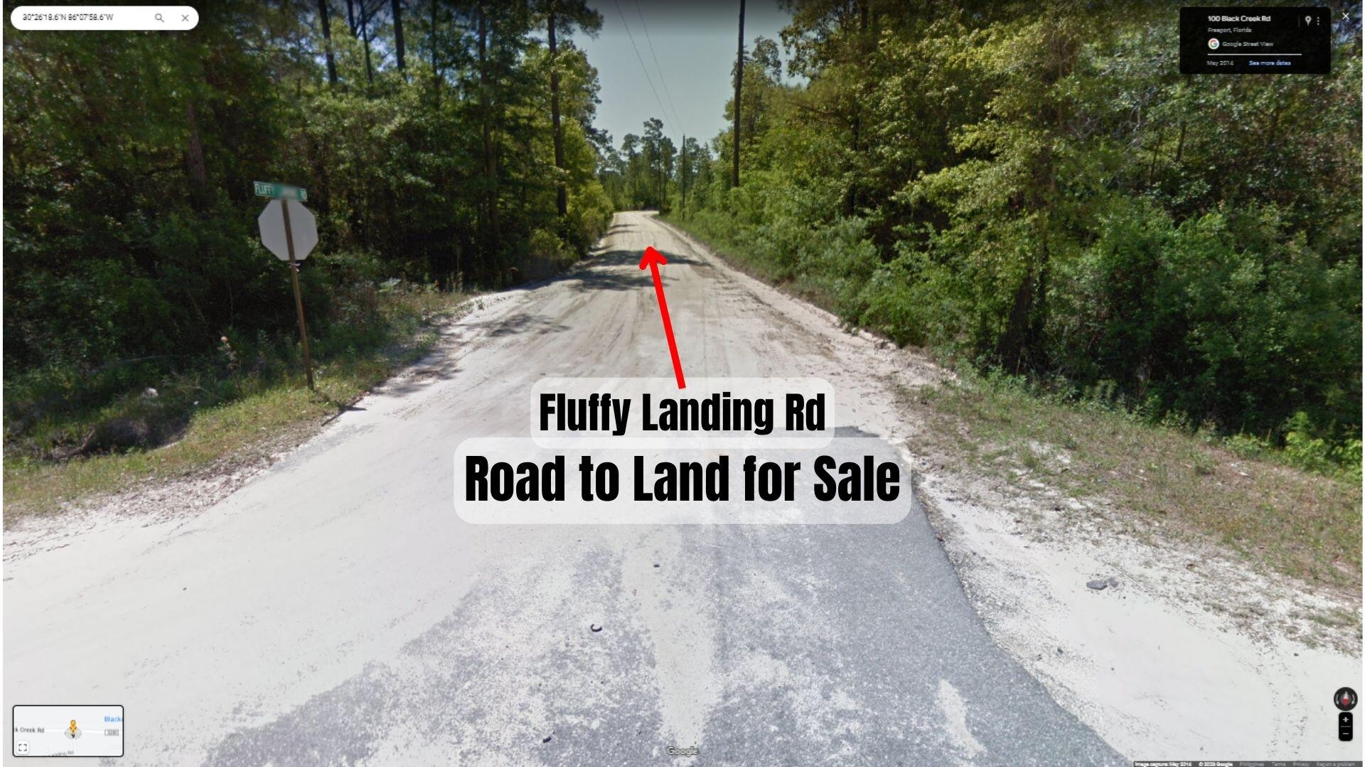 XX Fluffy Landing Road