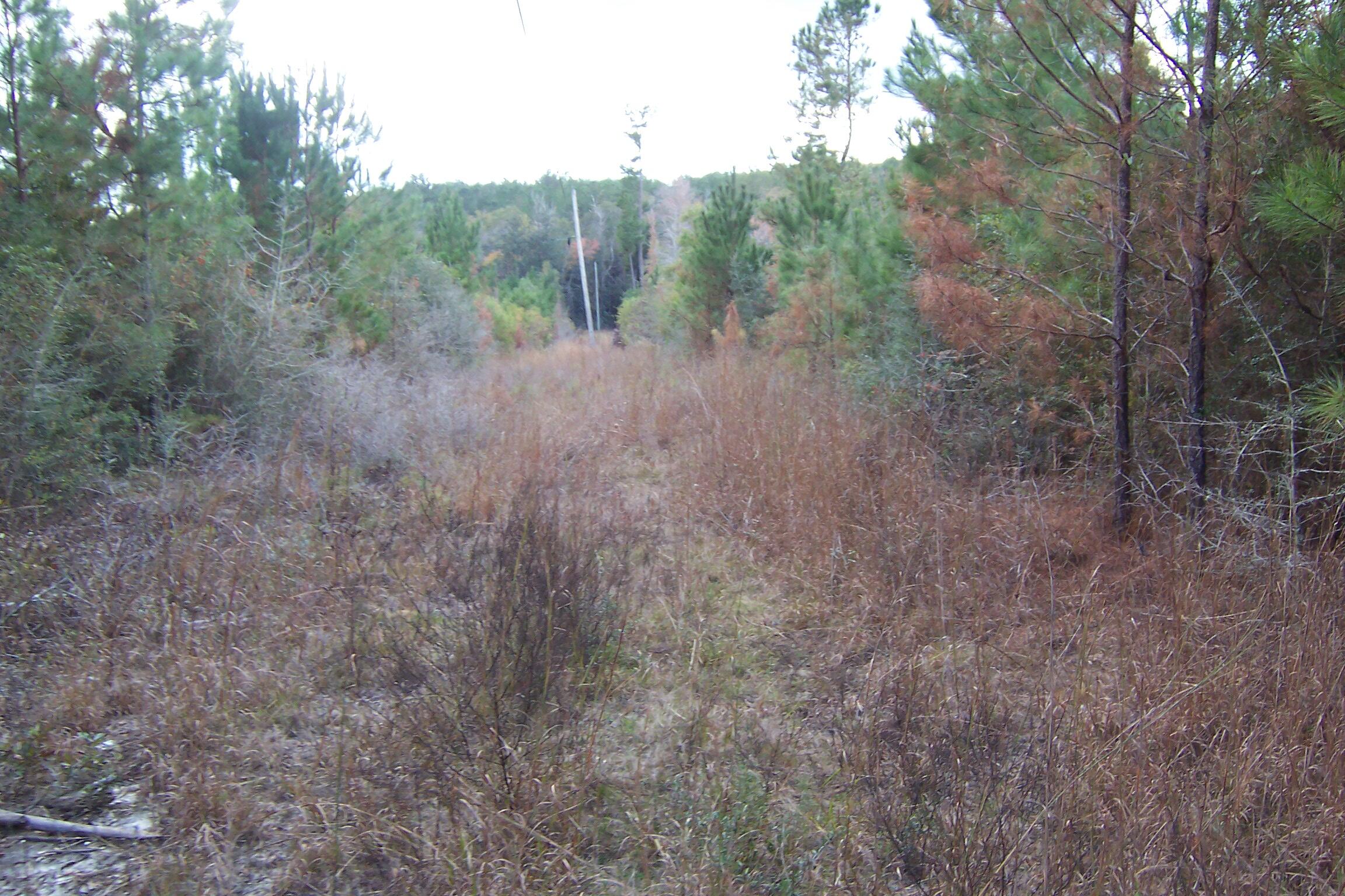 463 Caswell Drive, DeFuniak Springs