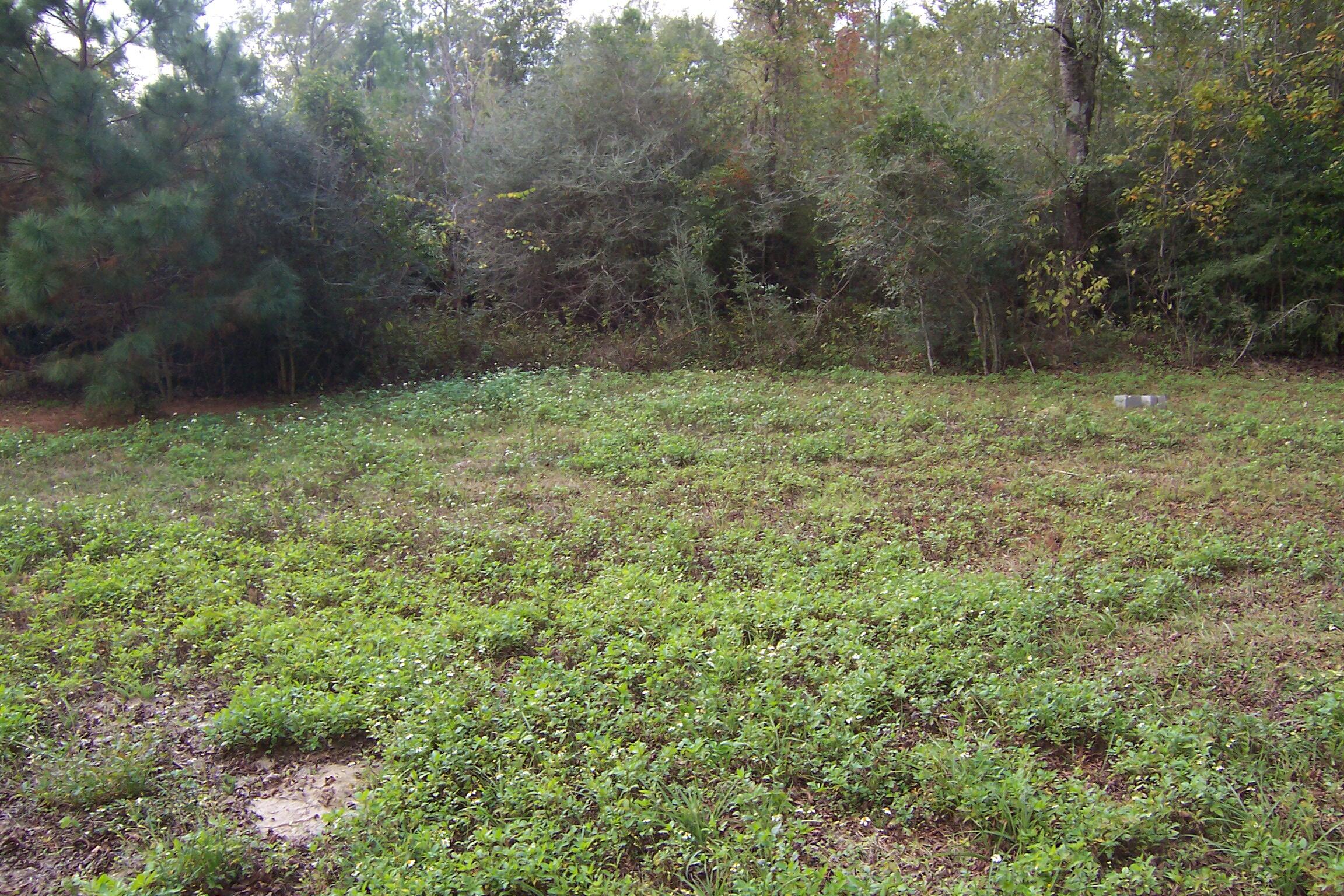 463 Caswell Drive, DeFuniak Springs