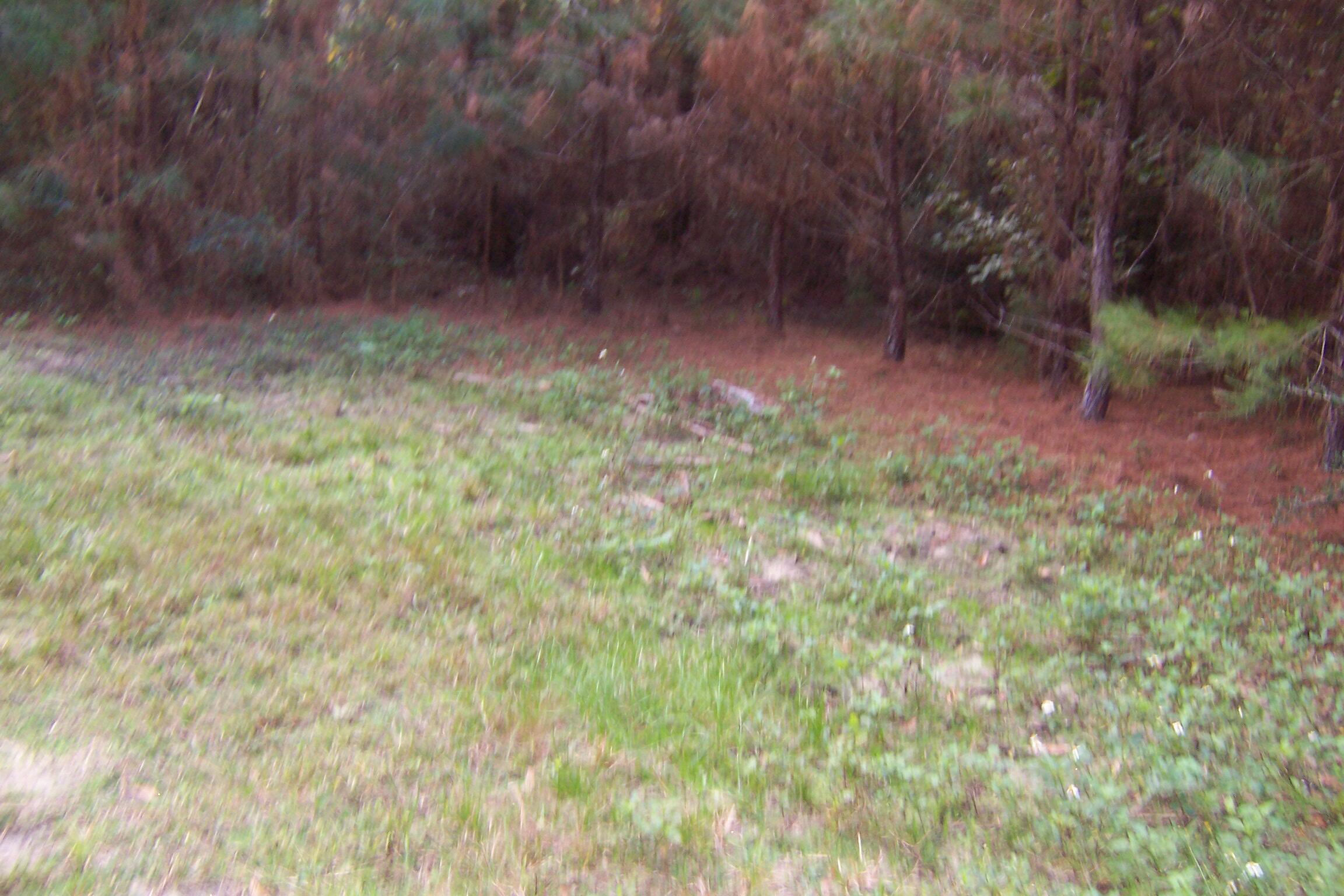 463 Caswell Drive, DeFuniak Springs