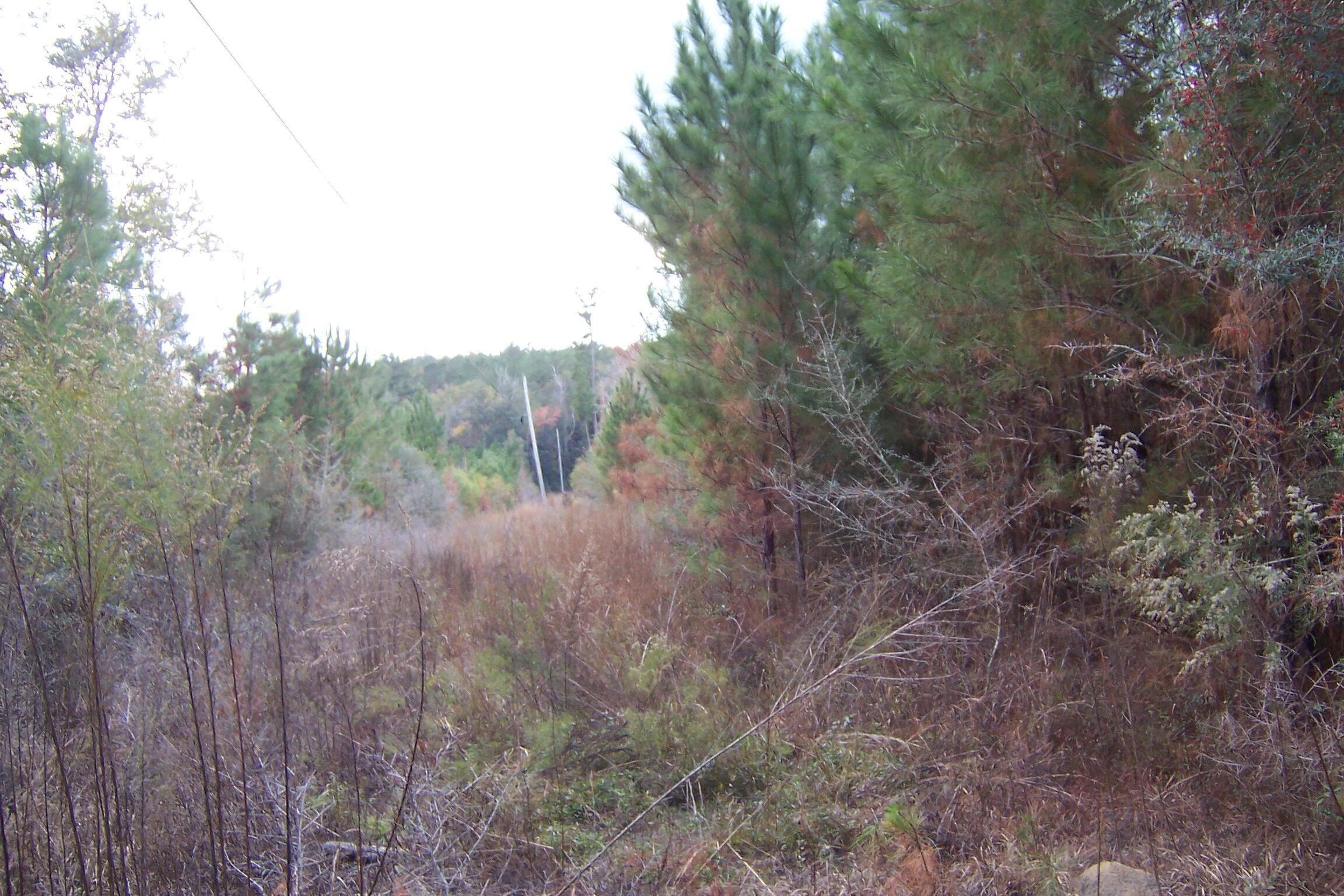 463 Caswell Drive, DeFuniak Springs