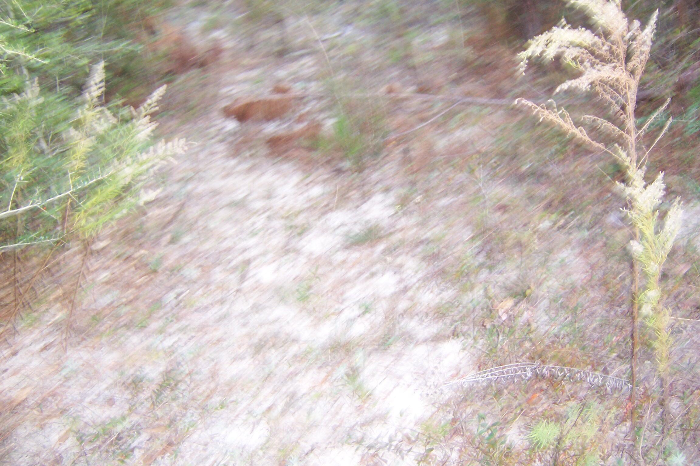 463 Caswell Drive, DeFuniak Springs