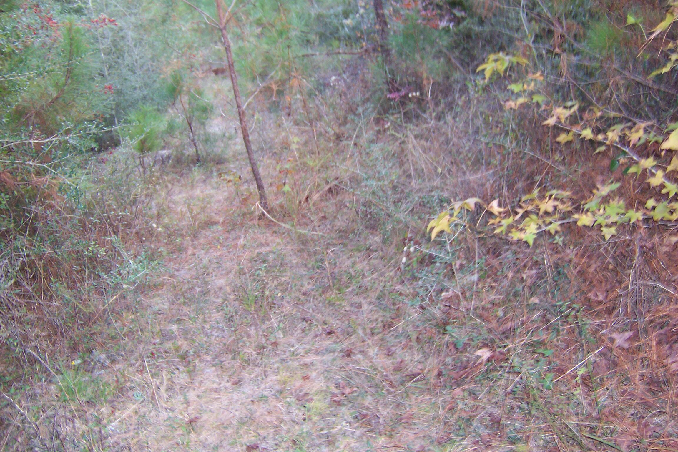 463 Caswell Drive, DeFuniak Springs