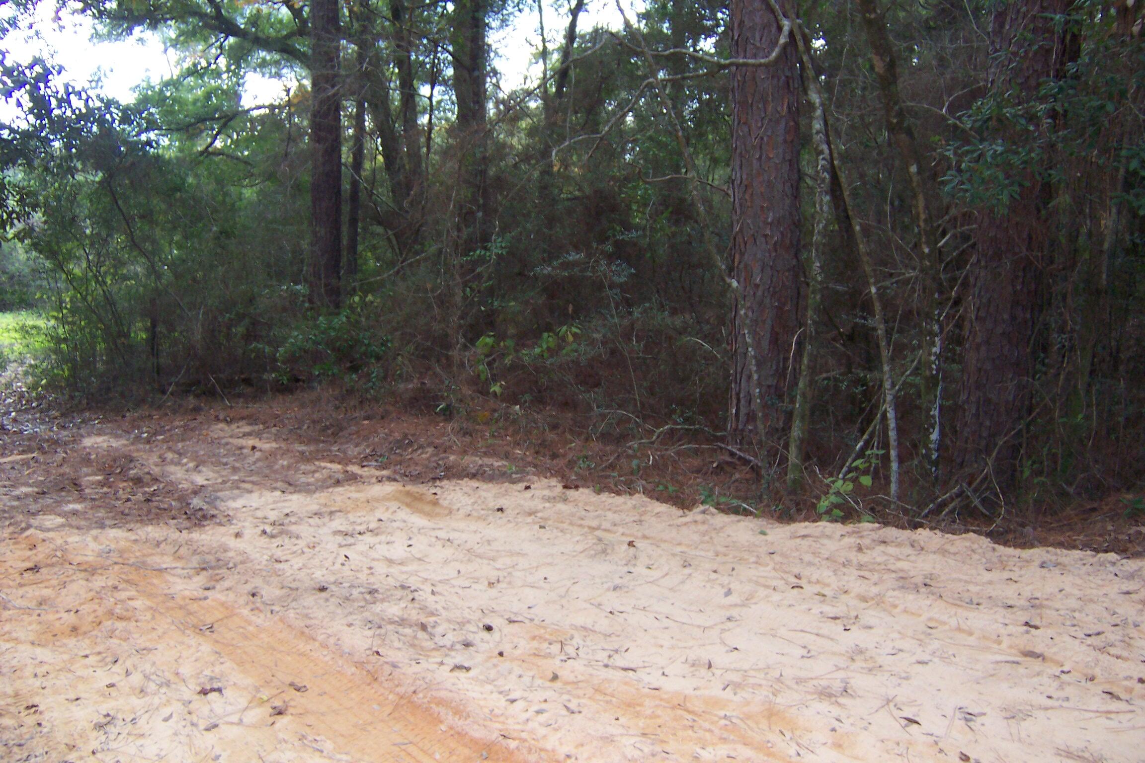 463 Caswell Drive, DeFuniak Springs