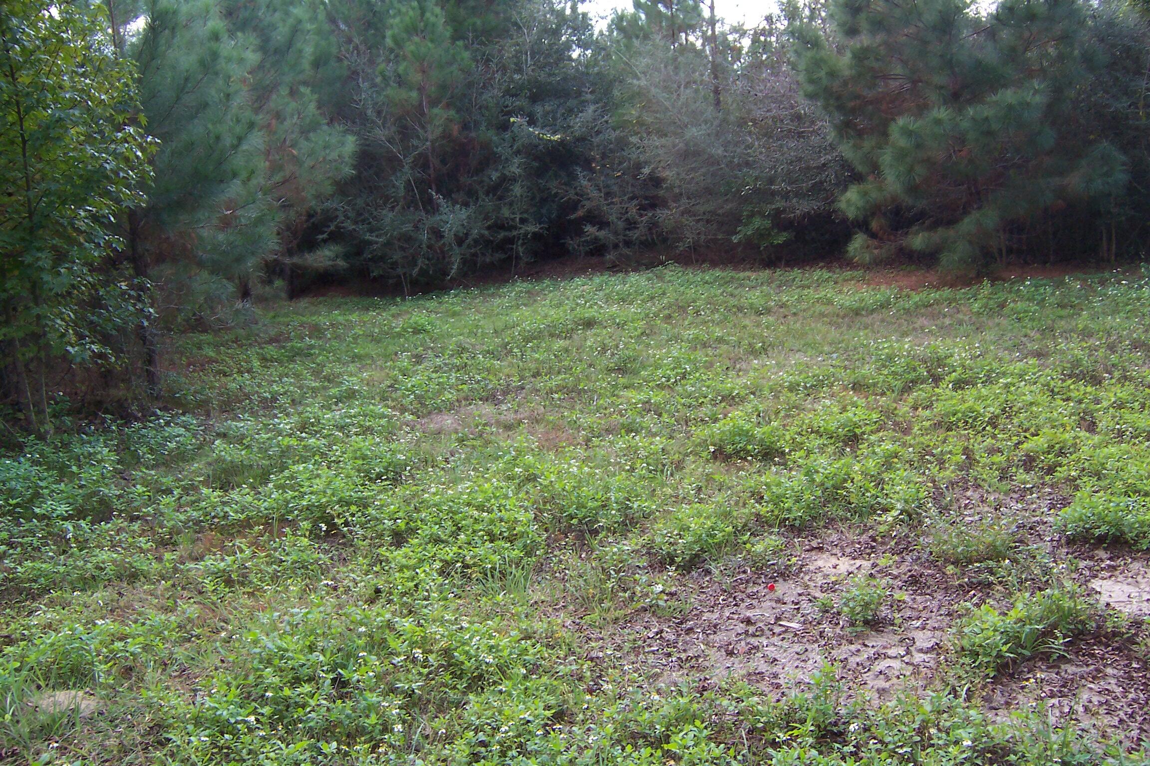 463 Caswell Drive, DeFuniak Springs