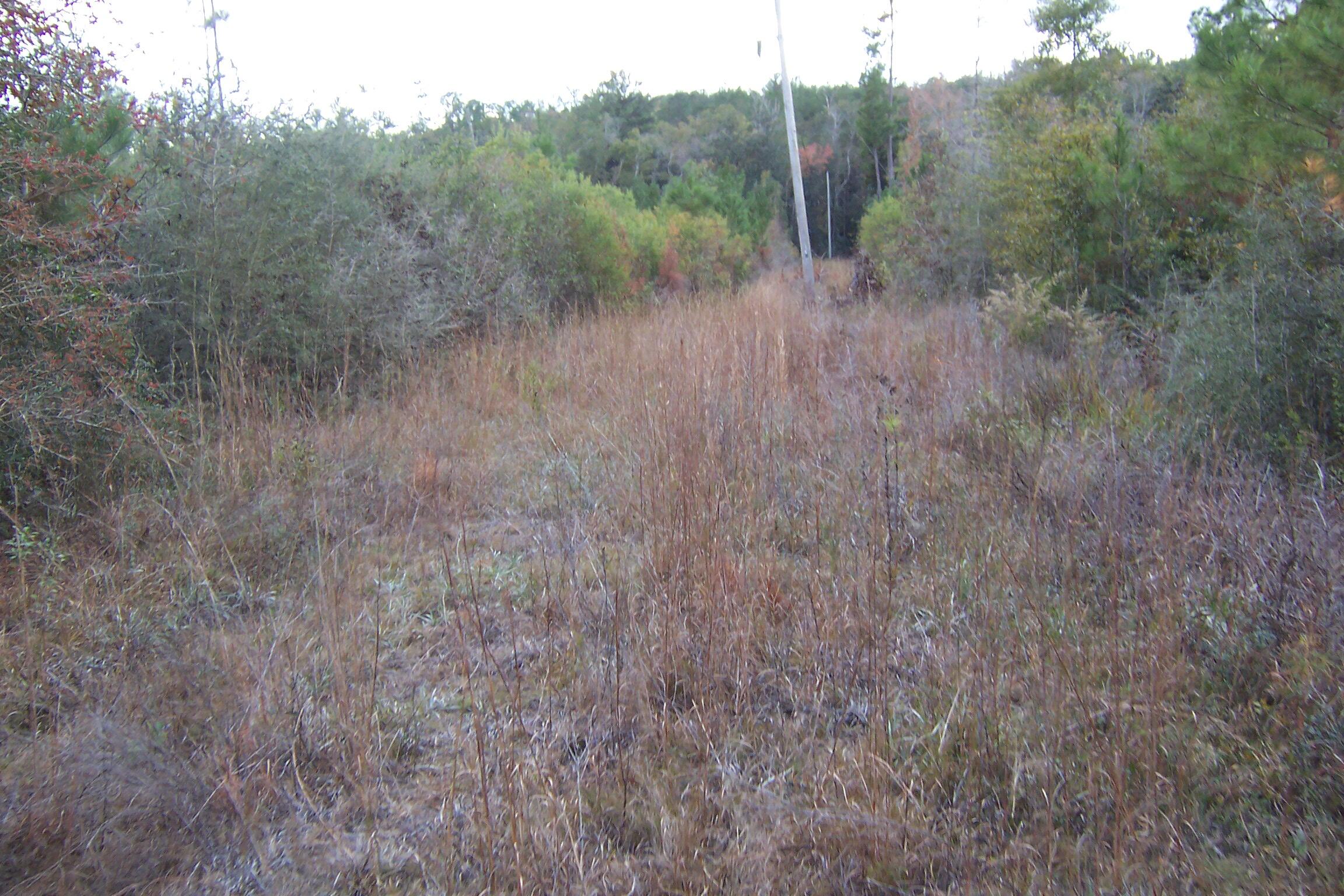 463 Caswell Drive, DeFuniak Springs