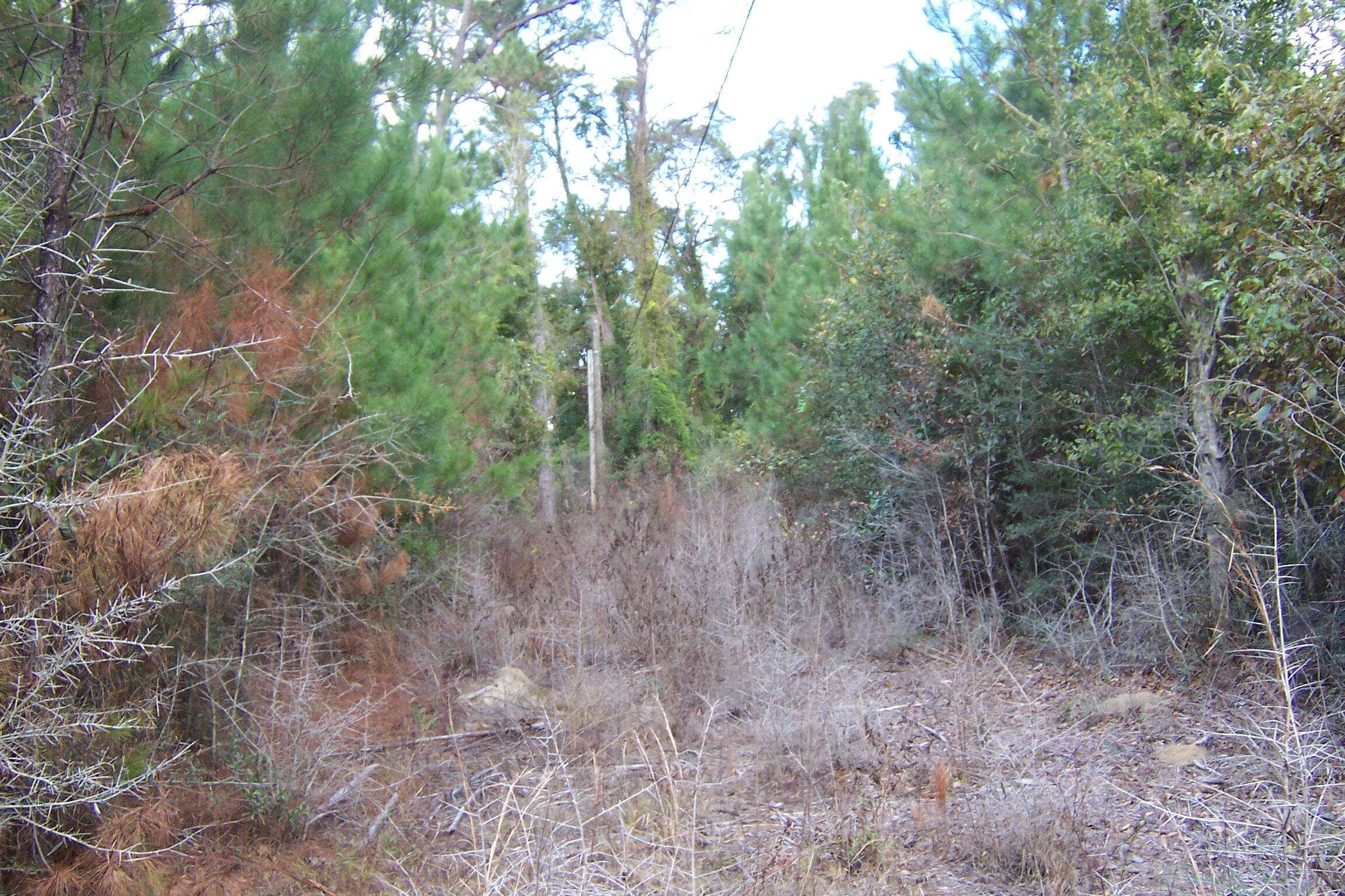 463 Caswell Drive, DeFuniak Springs