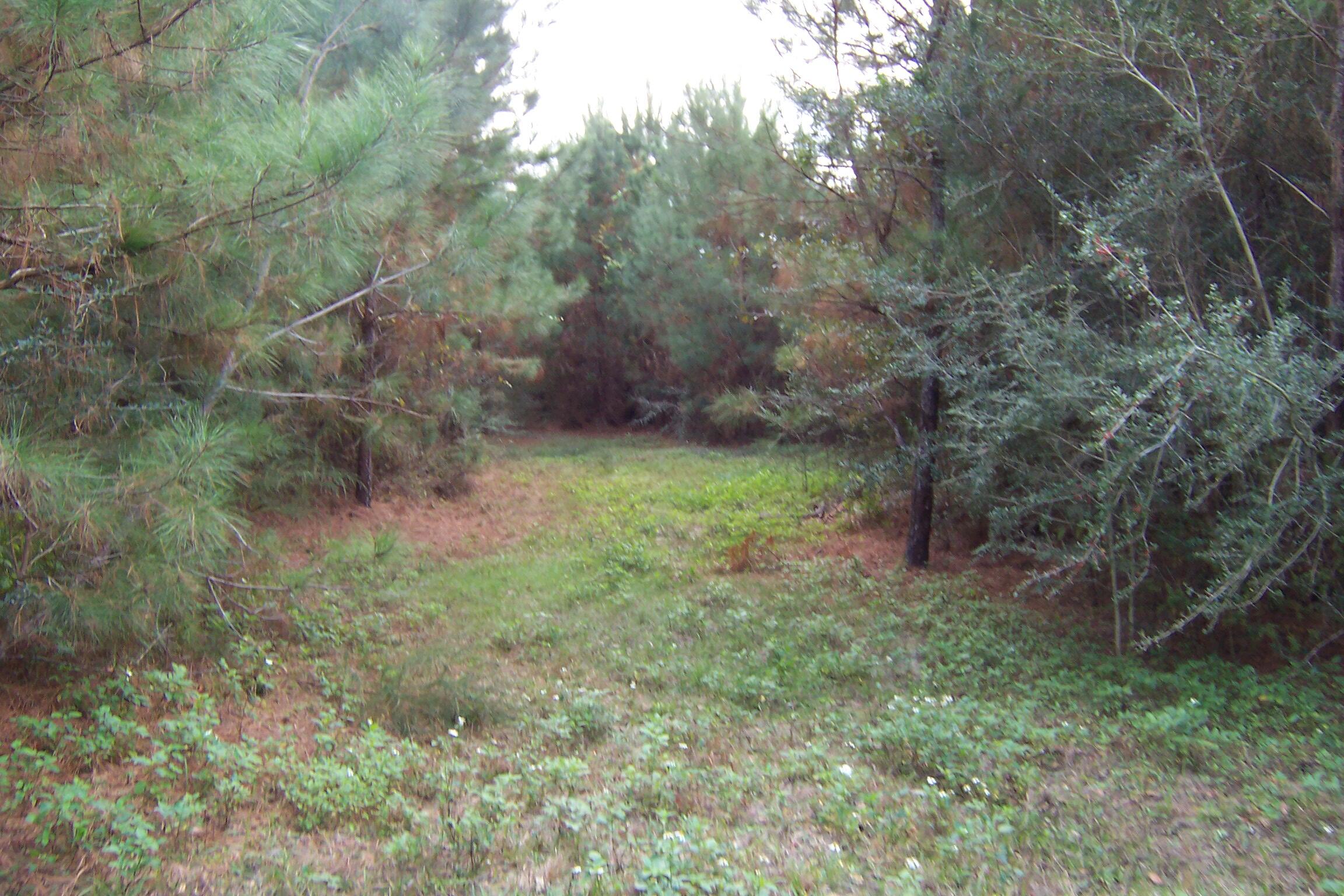 463 Caswell Drive, DeFuniak Springs