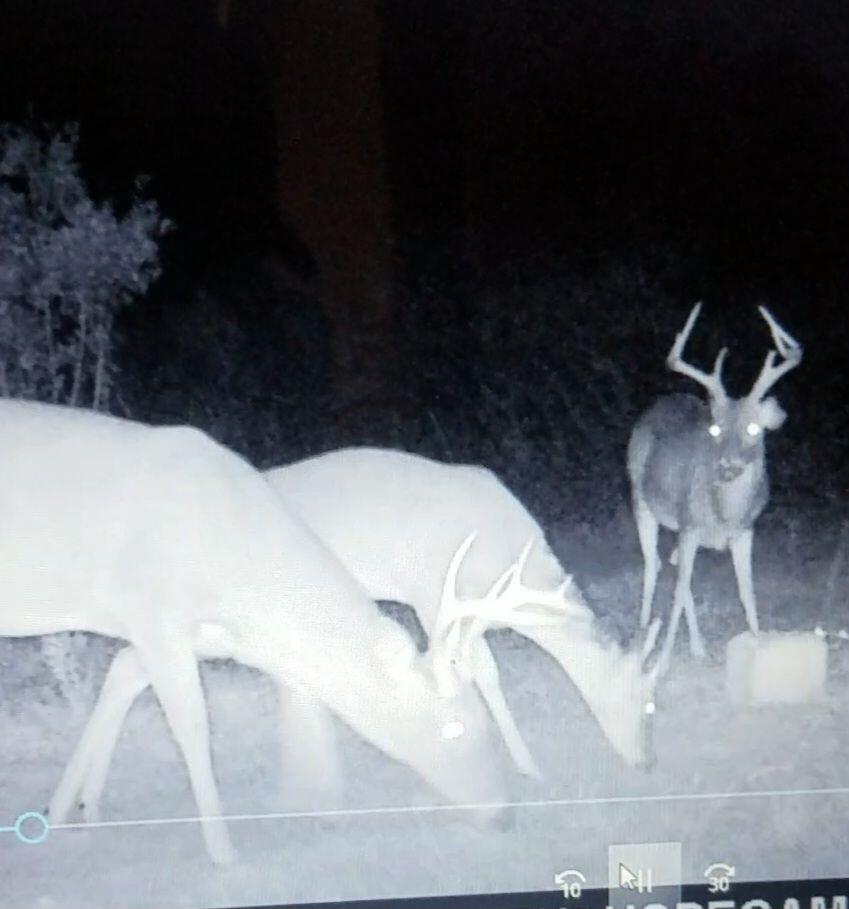 Lot 2 Parcels Antioch Cemetery Road