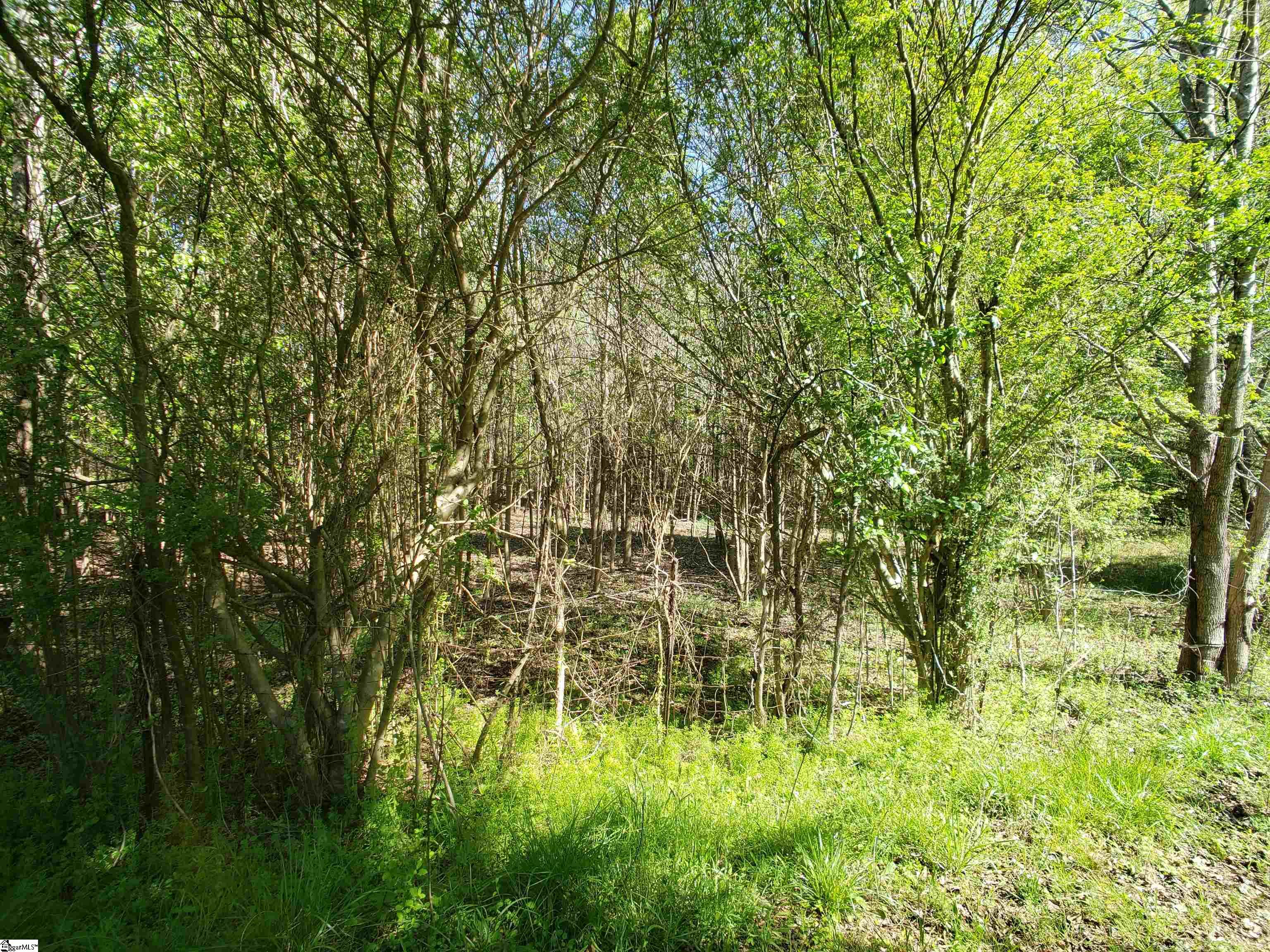 2353 Mays Bridge Road