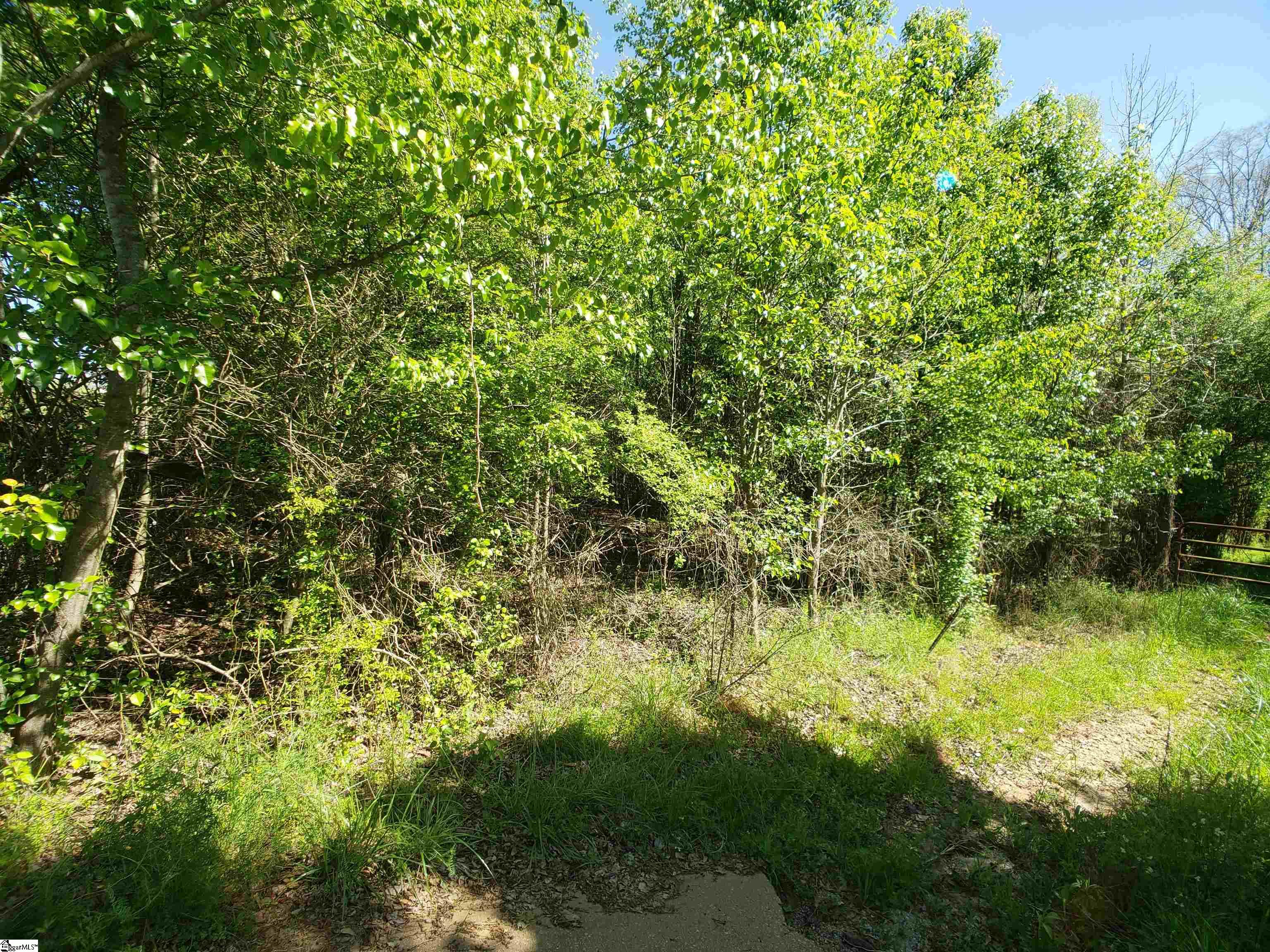 2353 Mays Bridge Road