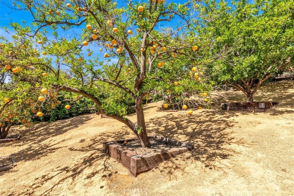 27151 Mission Hills Drive