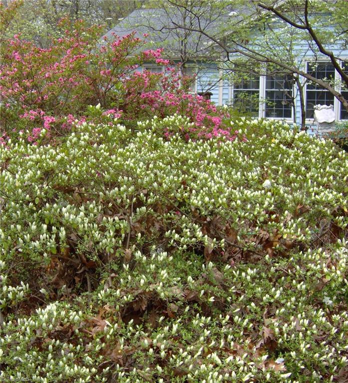 3905 Kalloramo Drive