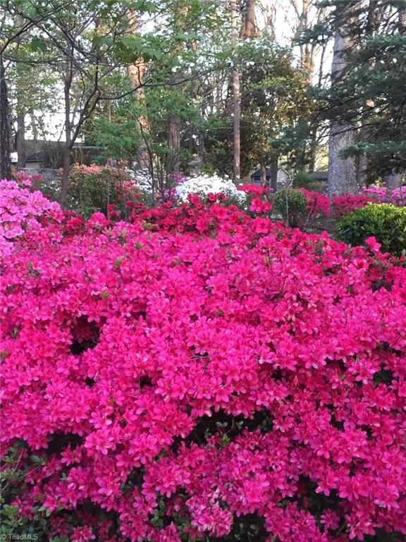 3905 Kalloramo Drive