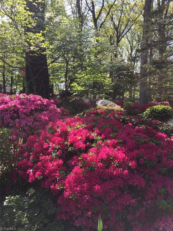 3905 Kalloramo Drive