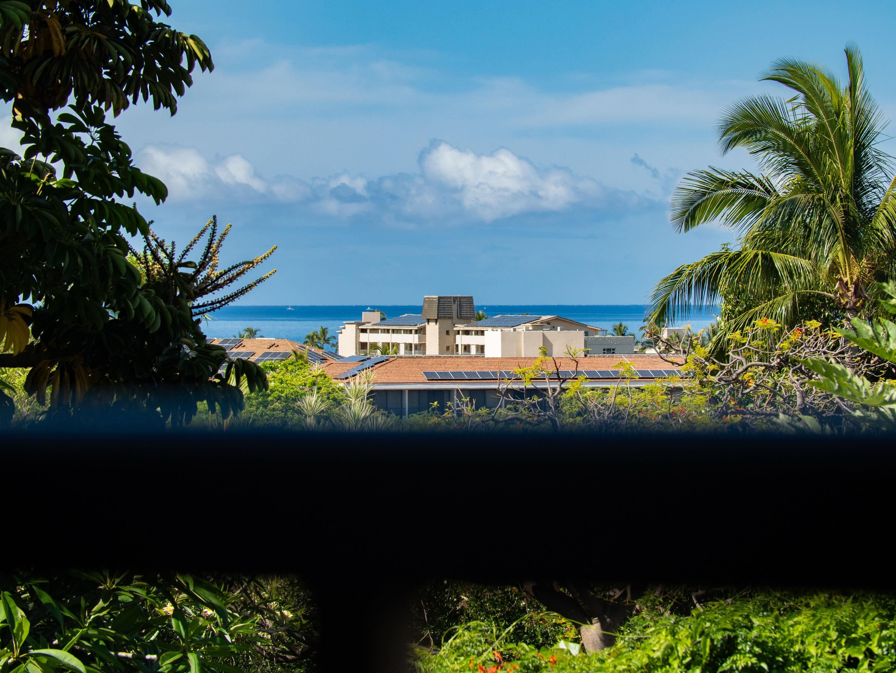 2185 Haukai Pl