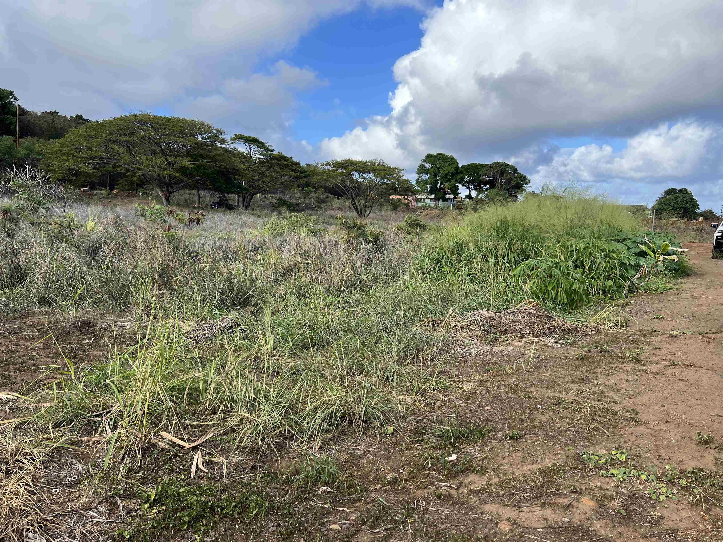 1504 Piihana Rd