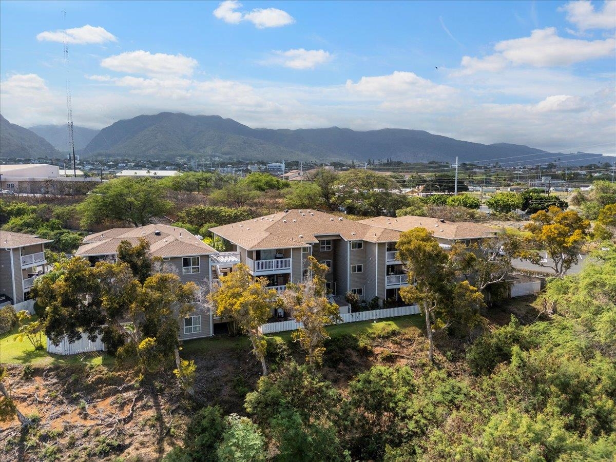 74 Kunihi Ln Unit: 436