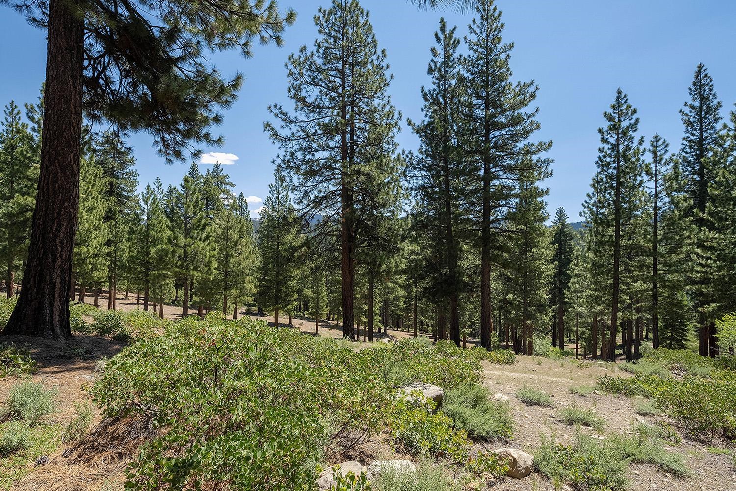 5108 Gold Bend Unit: 5108