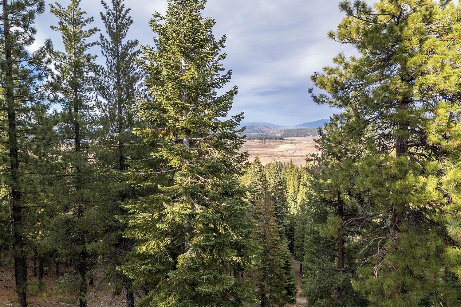 6133 Feather Ridge