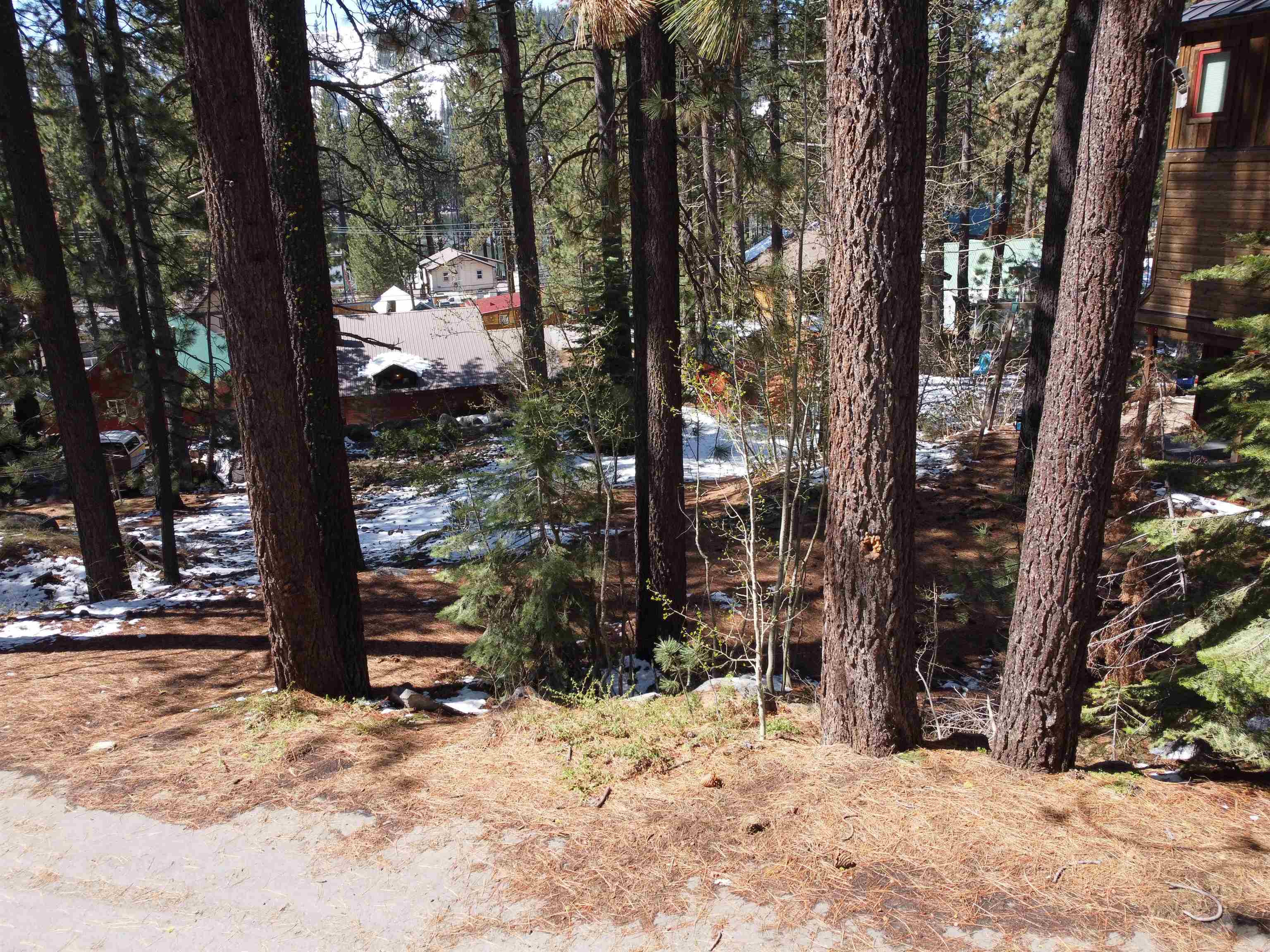 10104 Summit Drive