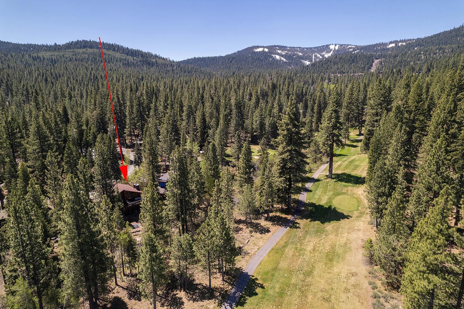 441 Lodgepole