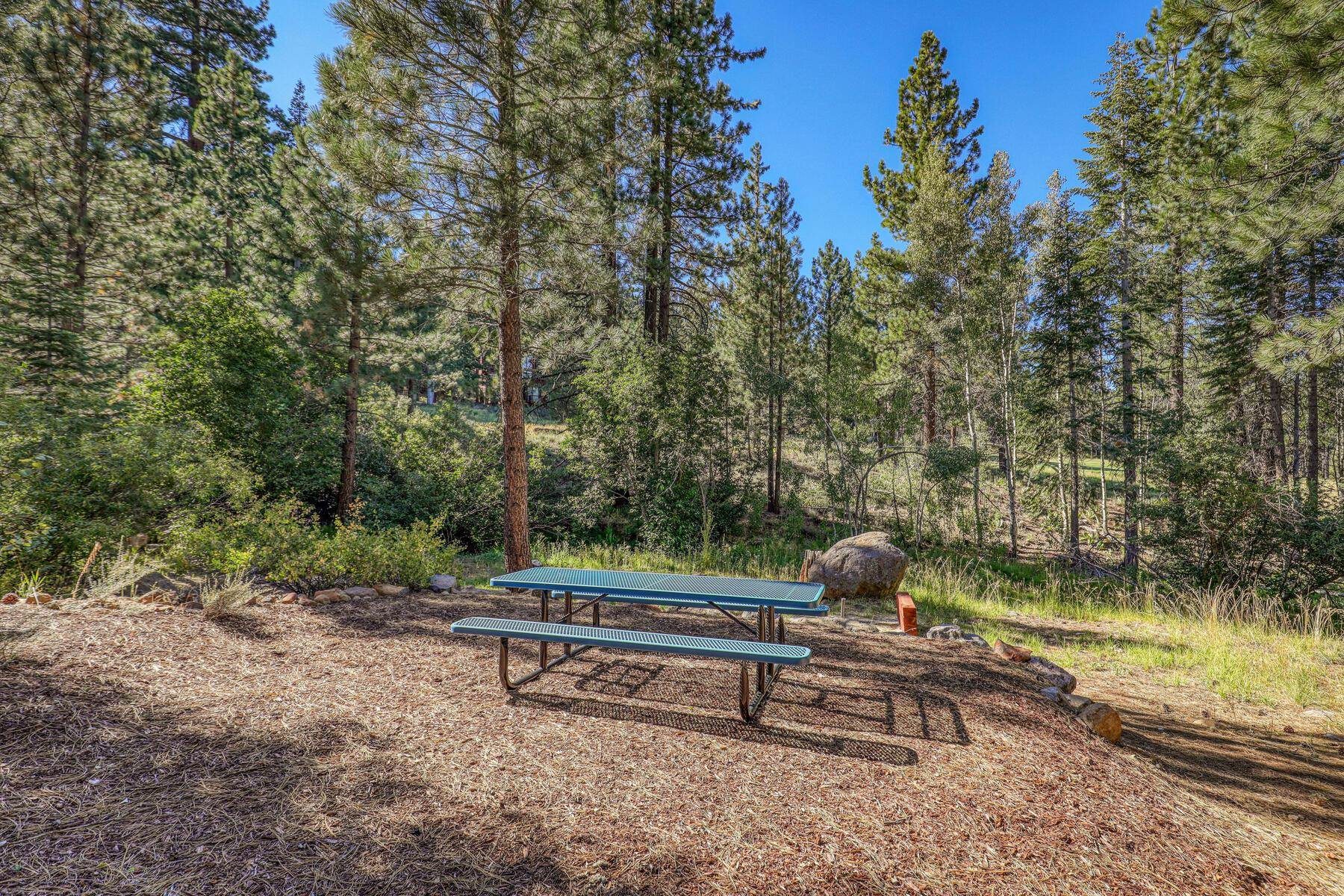 441 Lodgepole