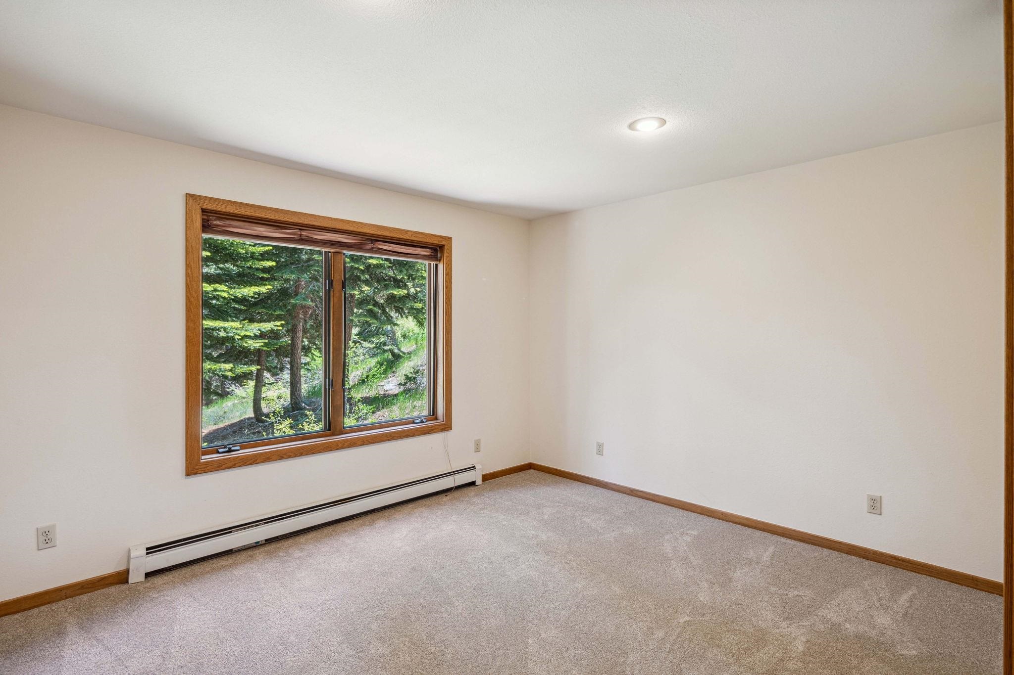 11696 Tundra Drive