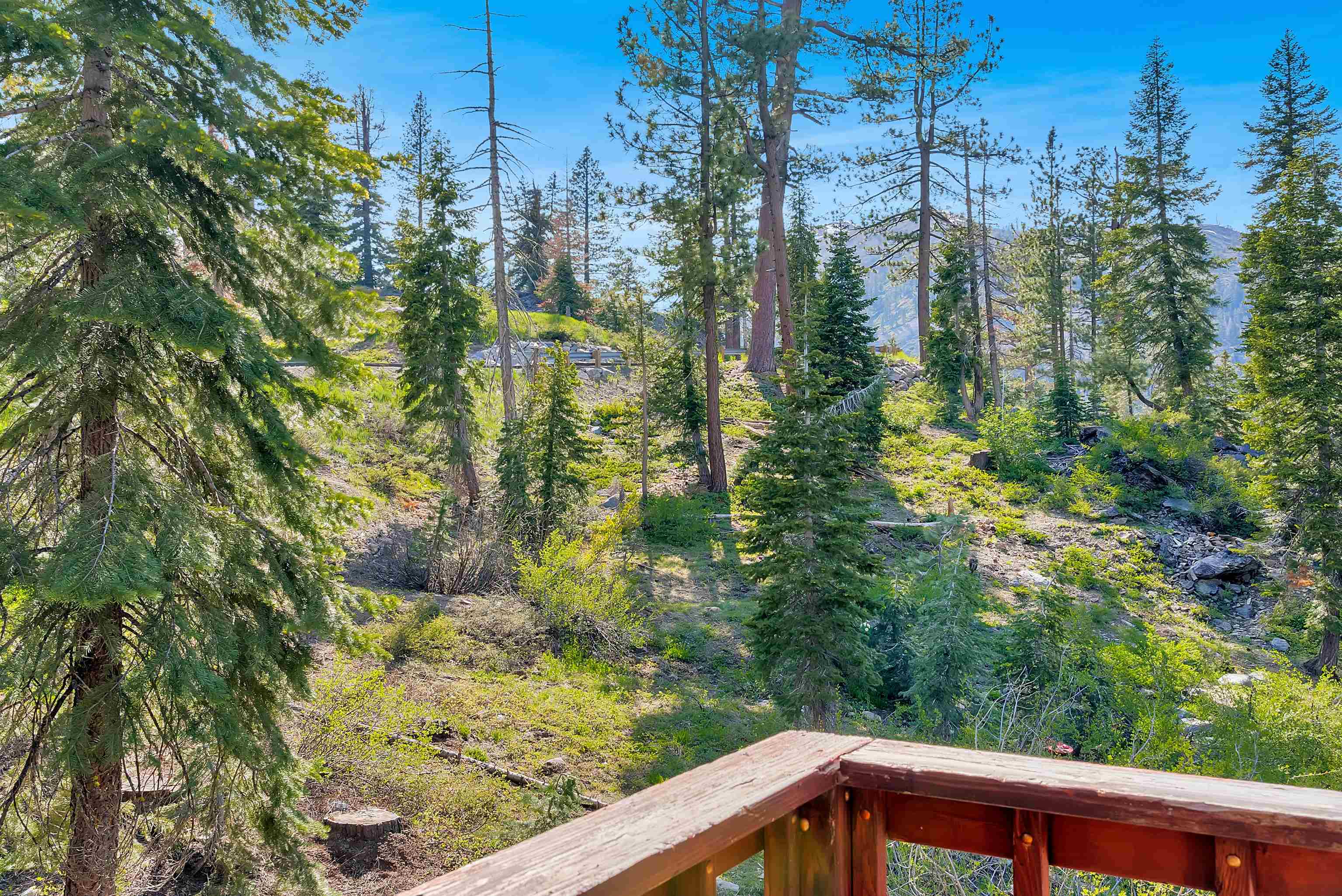 1191 Snow Crest Road