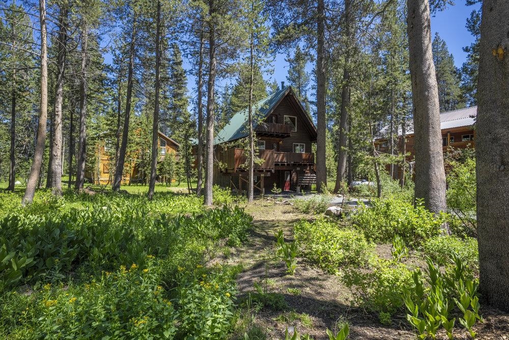 A-frame cabin nestled among tall pines, with a green roof, balconies, and a garden path.