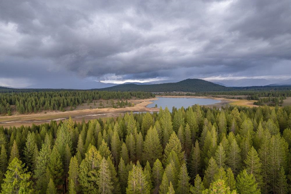 10612 E Alder Creek Road