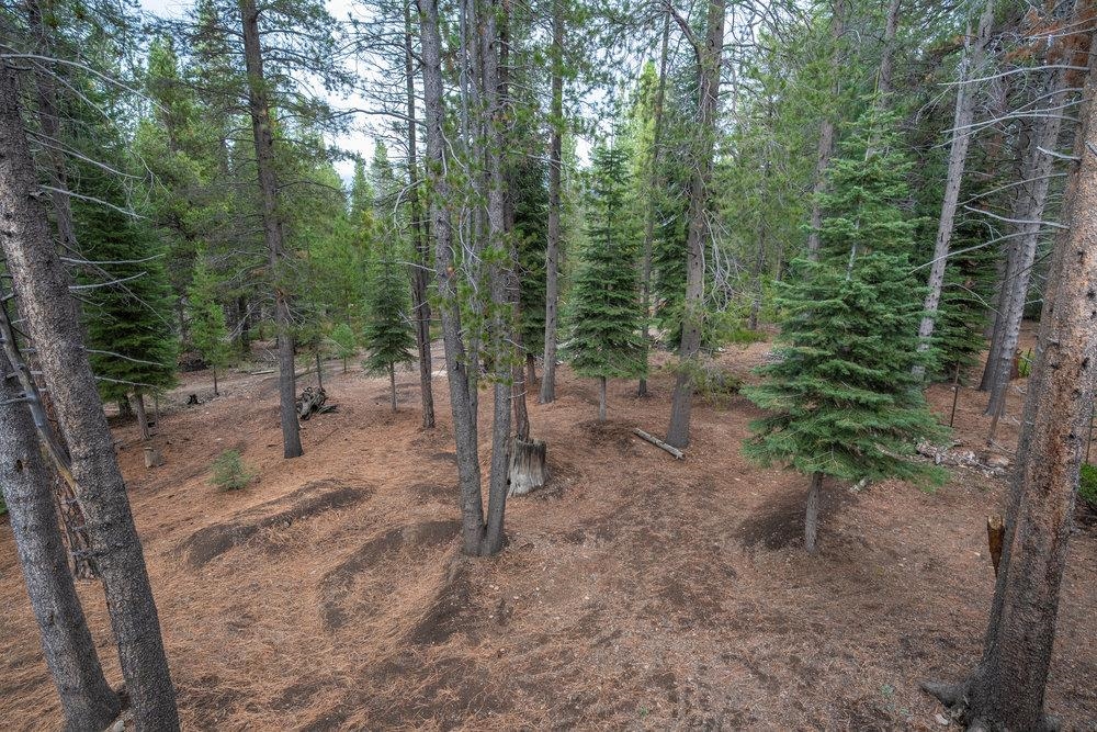 10612 E Alder Creek Road