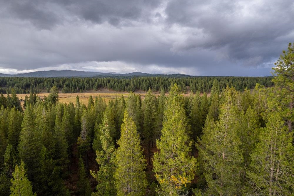 10612 E Alder Creek Road