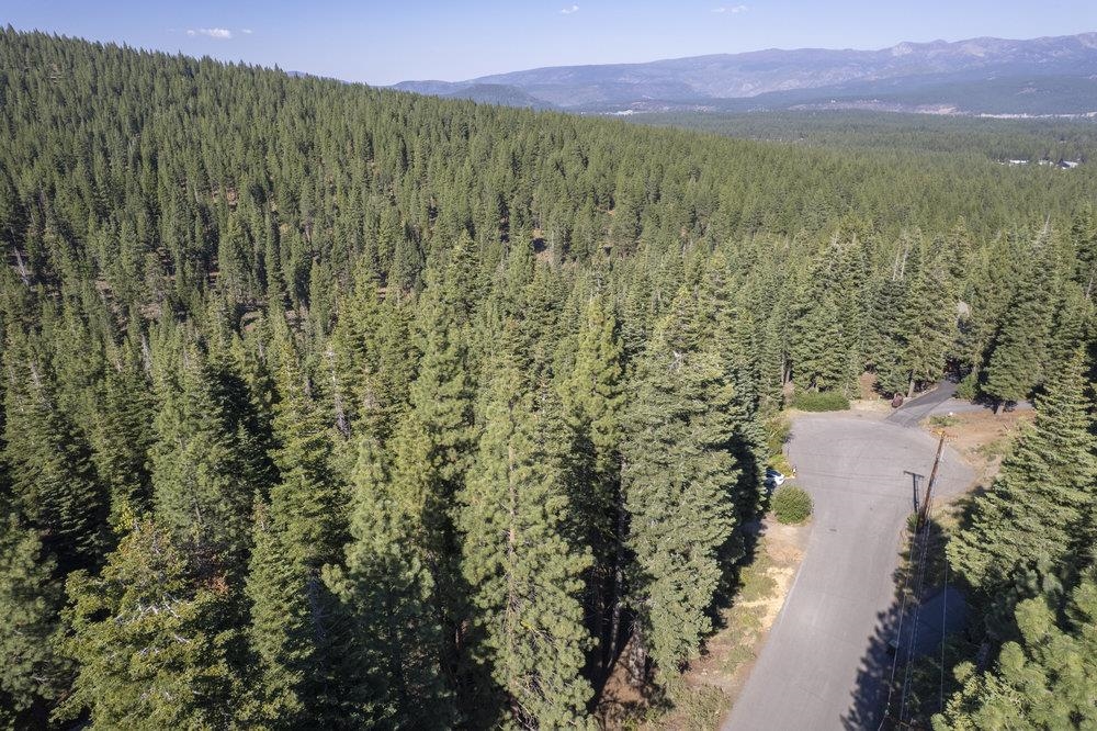 11710 Tundra Drive