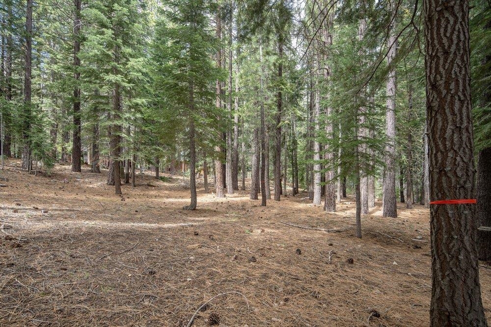 12442 Saint Bernard Drive