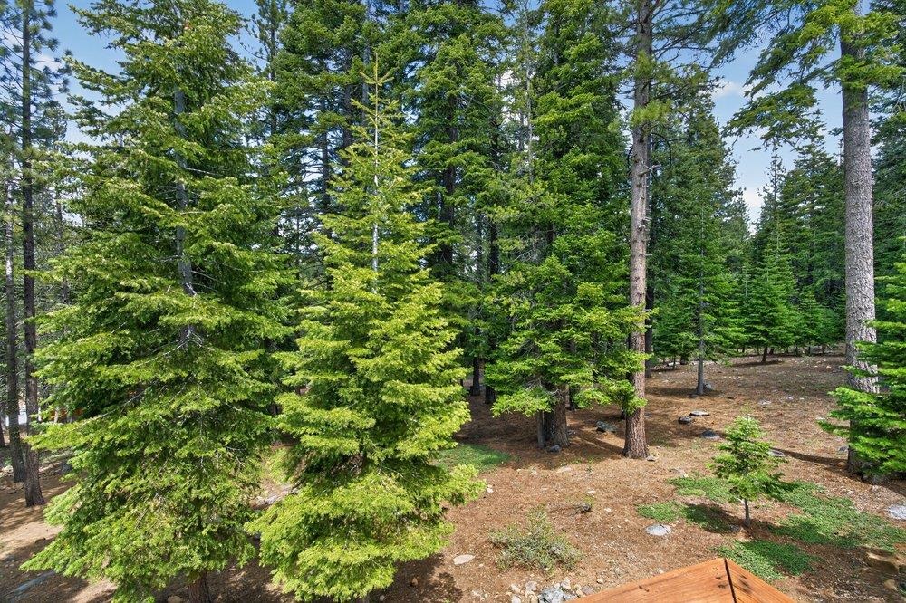 13096 Davos Drive