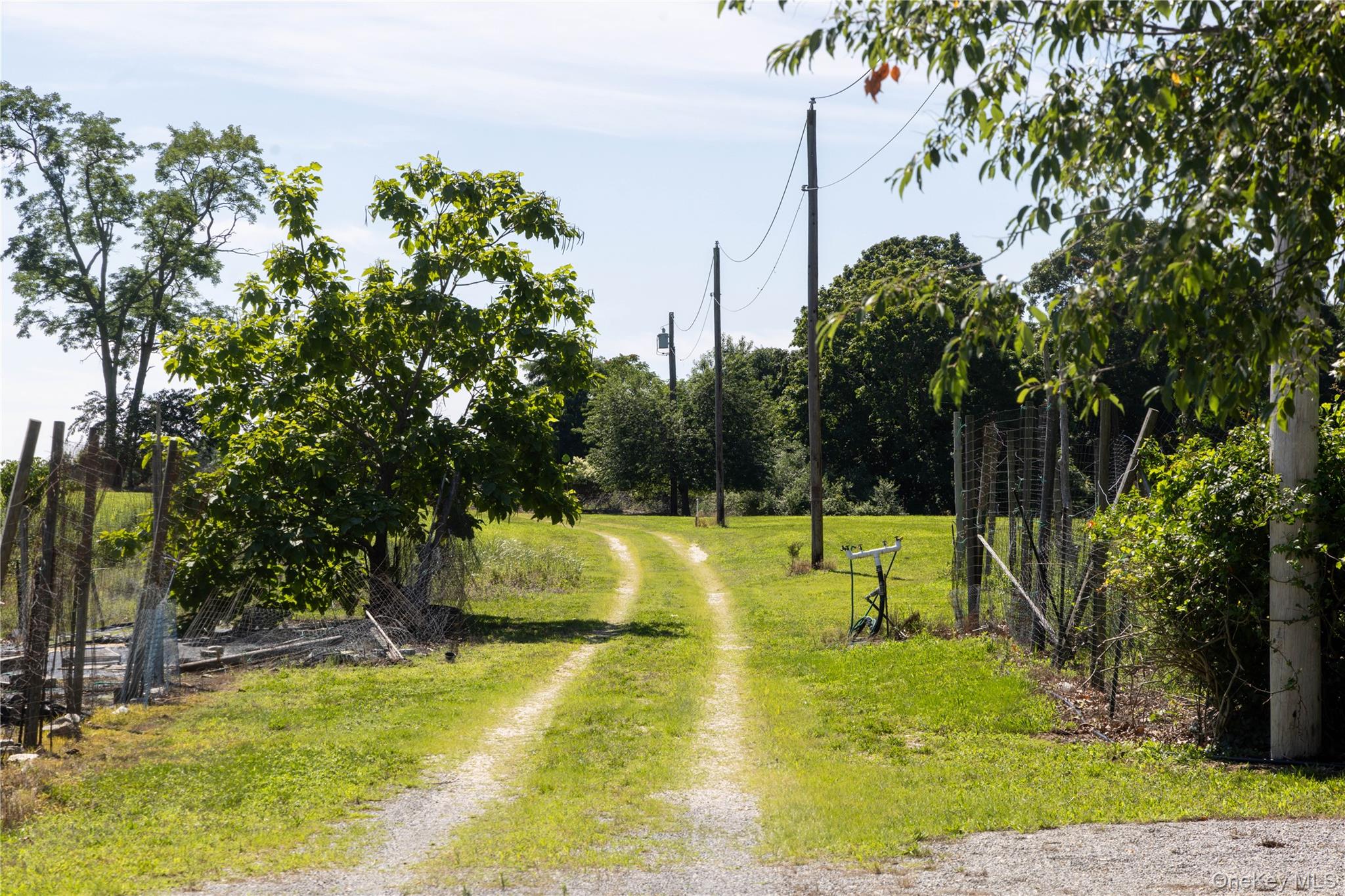 2450 Main Road