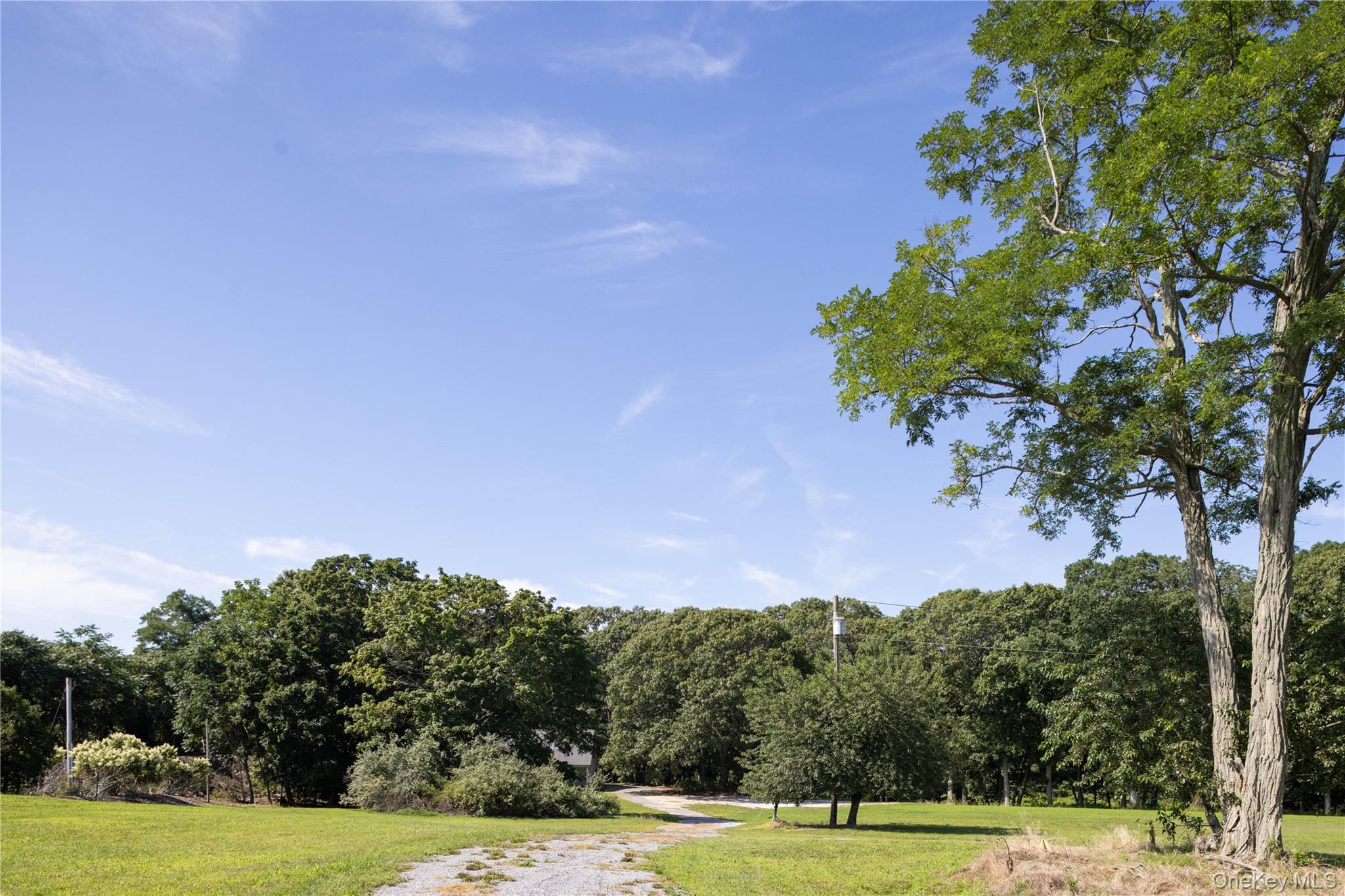 2450 Main Road