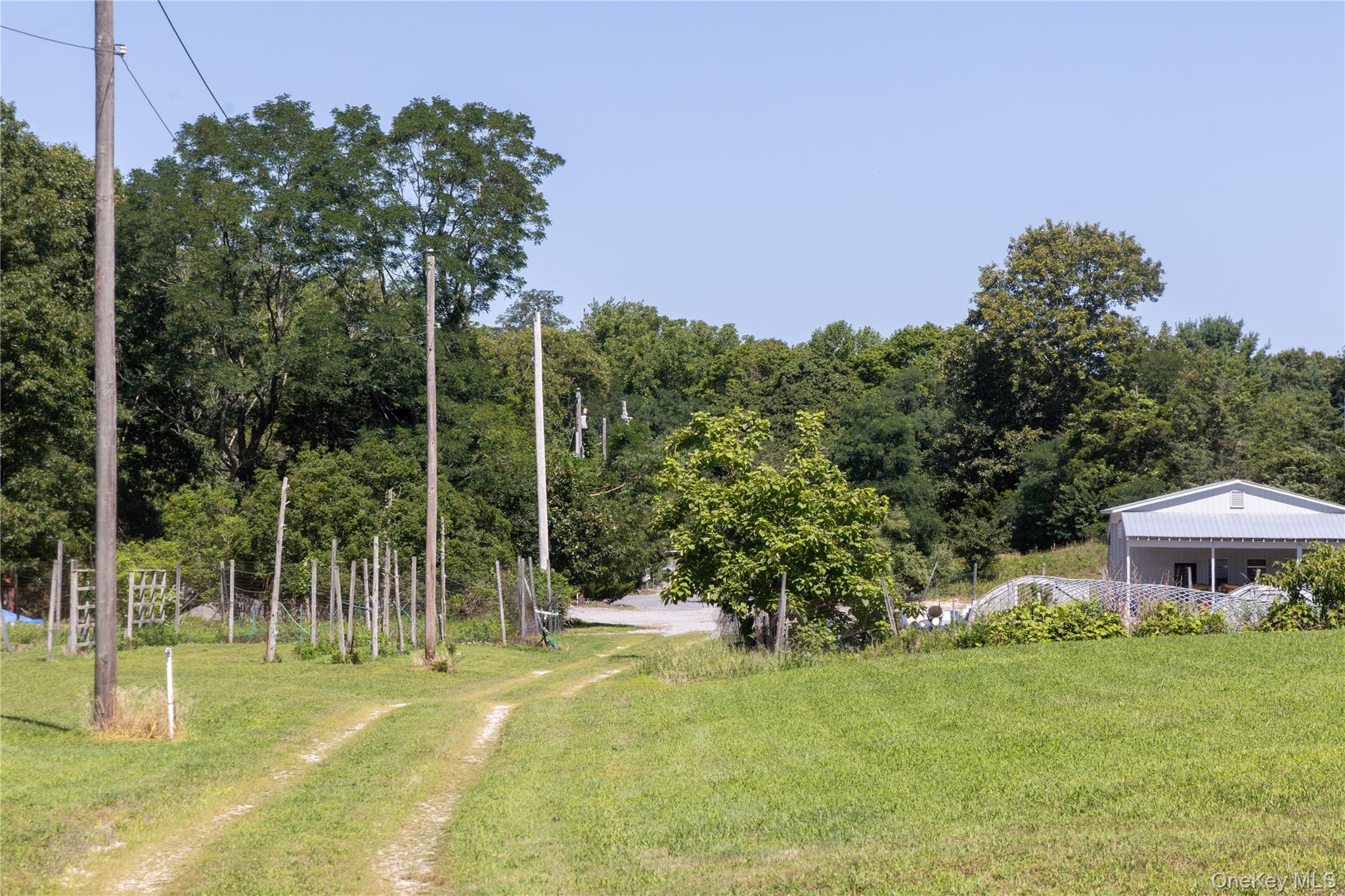 2450 Main Road