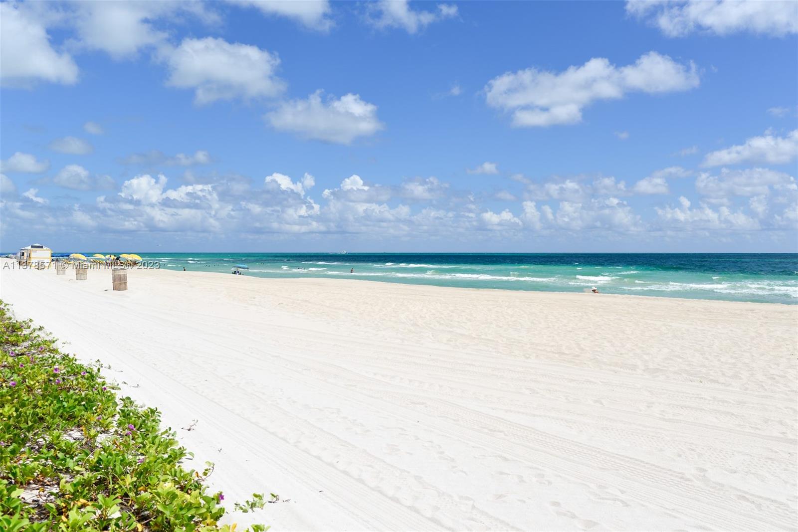 6039 Collins Ave Unit: 937