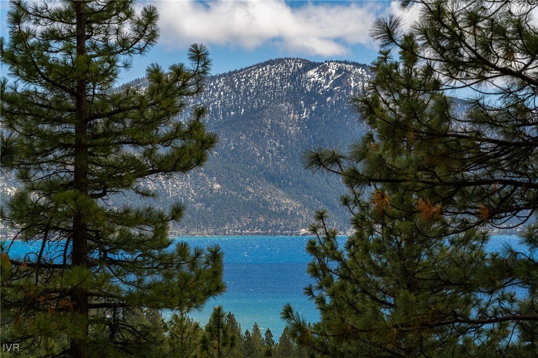 557 Knotty Pine Drive