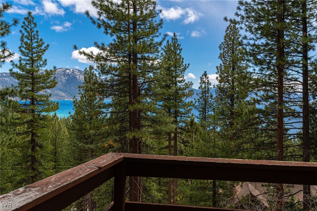 557 Knotty Pine Drive