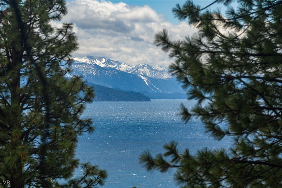 557 Knotty Pine Drive