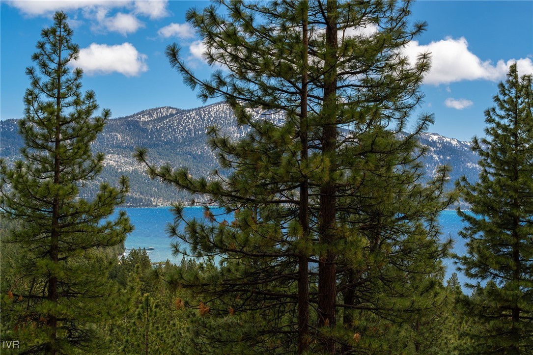 557 Knotty Pine Drive