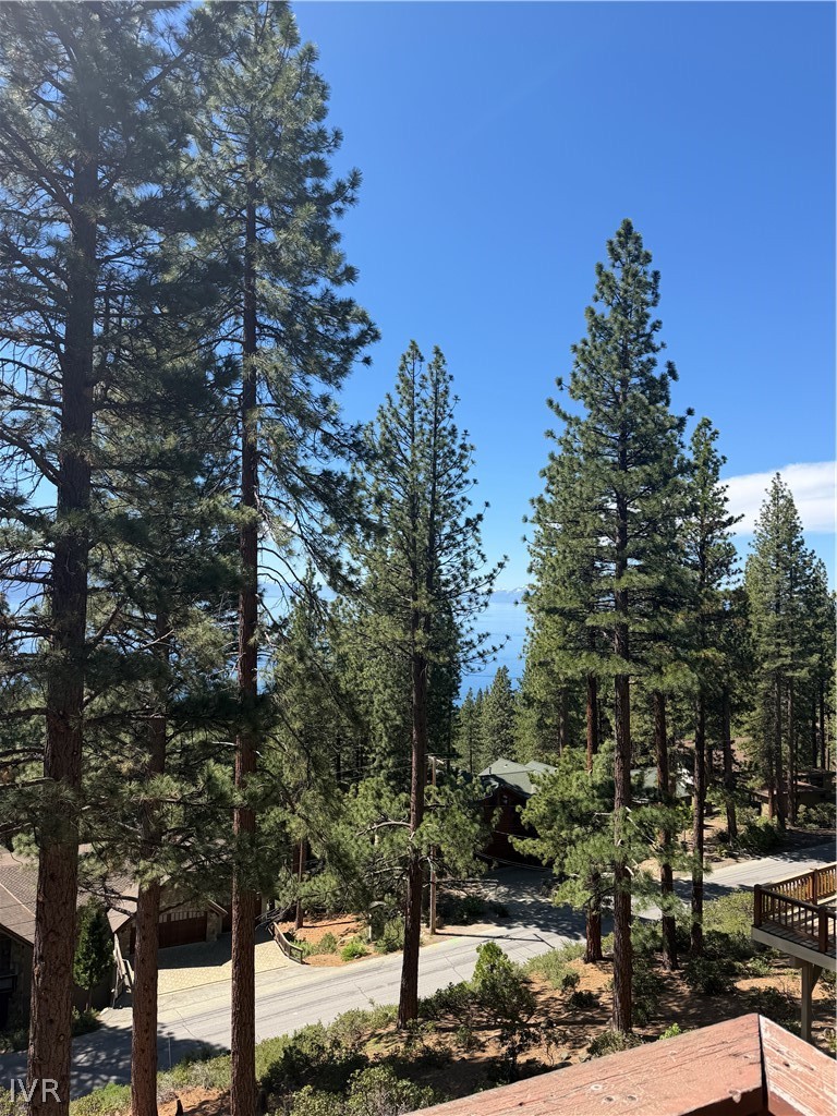 557 Knotty Pine Drive