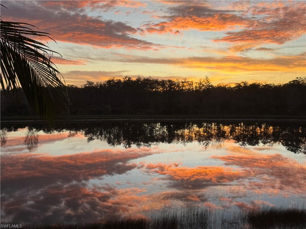 Pond reflecting an orange-pink sunset, framed by palm fronds and a dark tree line.